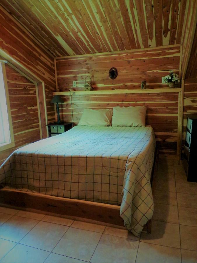 Cedar Cabin Located On A Buffalo Farm Marshall Eksteriør billede